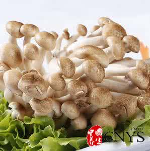 草菇的营养价值 草菇的营养价值  草菇竟然可以抗癌