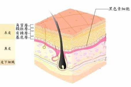 如何防止黑色素沉淀 美白肌肤怎样防止黑色素沉淀