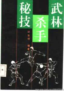 江湖杀手秘技 武术 江湖杀手秘技（邵发明）