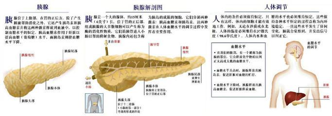 引起糖尿病的原因 引起糖尿病的原因有哪些?