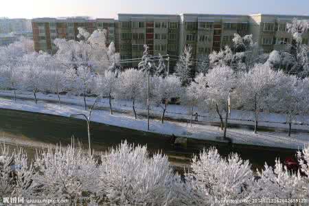 江苏科技大学体育学院 江苏科技大学体育学院--白雪0840701201 52_江苏科技大学体育学院