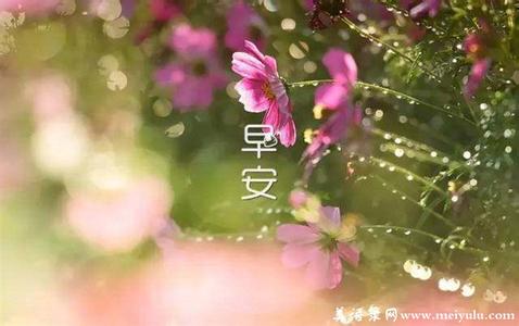 早安心语 早安心语：生活原不苦，苦的是欲望过多