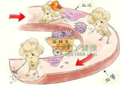 血液清洁书 吃得三七苦，方知健康甜，清洁血液，改善心脑血管疾病