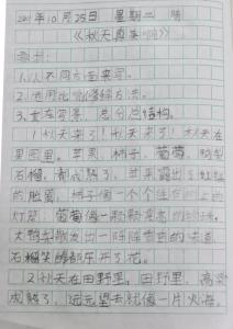 一个乐观的人作文 一个乐观的人作文 你是一个乐观的人吗?