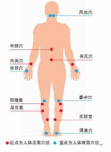 养生必知：人体十大要穴