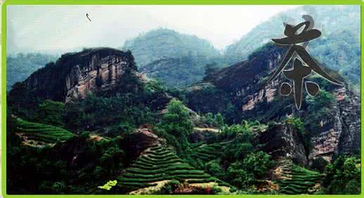 武夷山茶文化 何谓武夷茶文化！