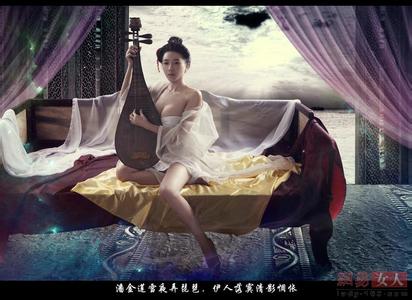新 金 瓶 梅 续 集 从《金瓶梅》看房中术之影响及社会意义