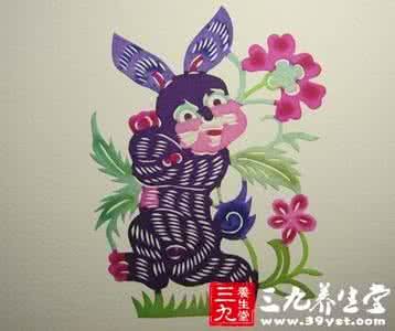 2015年12生肖鸡运气 12生肖“二之气”运气养生法（二）