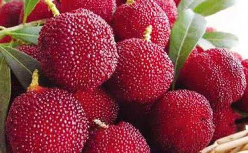 杨梅怎么保存 杨梅怎么样保存