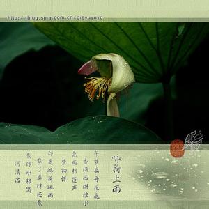 聚散有时思夜雨 却是池荷跳雨,散了真珠还聚。聚作水银窝,泛清波。杨万里《昭君怨·咏荷上雨》