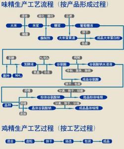 谷氨酸钠的危害 谷氨酸钠的危害 谷氨酸钠的利弊