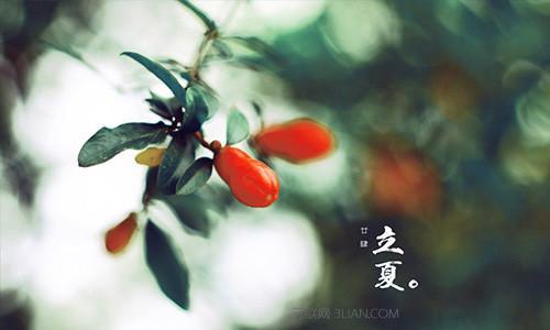 立夏问候短信 2016年立夏祝福问候短信