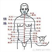 尾闾 夹脊 第二阶段:通尾闾、夹脊、玉枕三关(九)