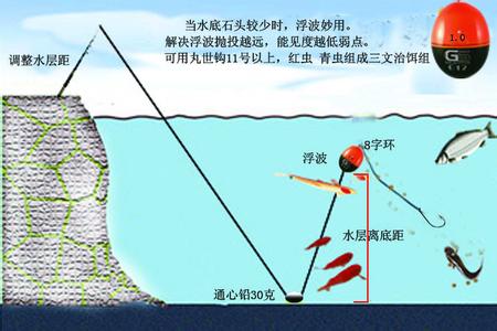 蚂蚁上树钓法 详解台钓蚂蚁上树钓法技巧