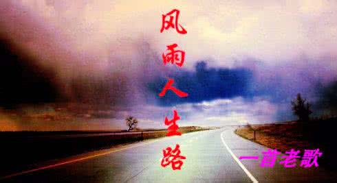 风雨人生路拓展项目 人生路漫，风雨常在