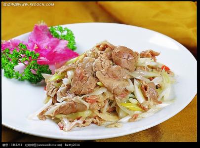 美味佳肴菜谱 【美味佳肴】葱爆羊肉菜谱汇集