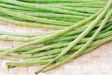 梦见豆角 豆角 梦见豆角_豆角