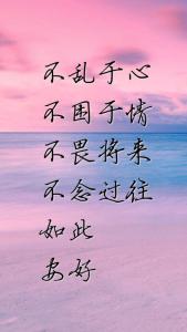 不畏将来 不念过去 不乱于心，不困于情；不畏将来，不念过往；如此，安好