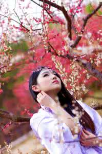 穿越红楼之花香袭人 命犯桃花的红楼花袭人