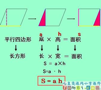 中考数学特殊四边形 【数学猜押】特殊四边形