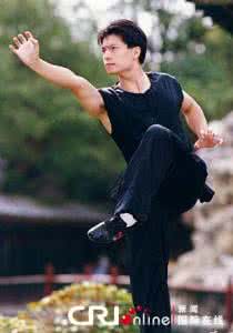 南拳妈妈 林廣榮南拳