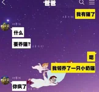 怎么把流浪猫带回家 爸爸说：不准把猫带回家