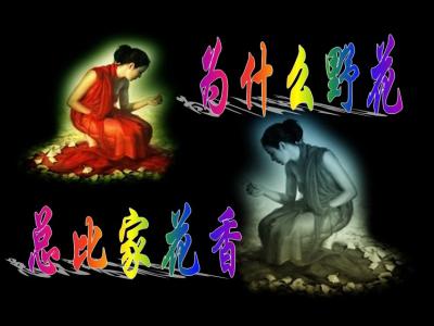 精美flash音画欣赏 想 你 【精美音画】