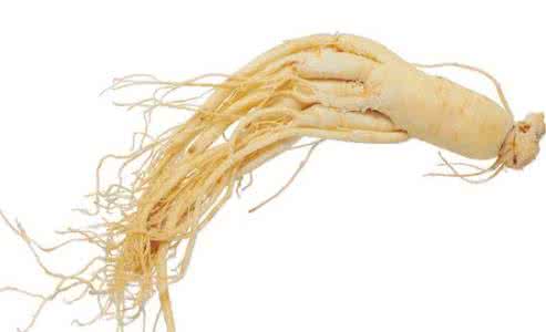 老年人吃人参好吗 老年人吃人参要注意什么