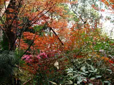 浅秋官方旗舰店 浅秋如诗