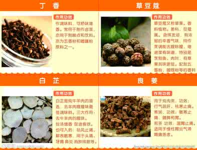 白茶的功效与作用 【干货】白茶的功效与作用