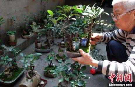 易拉罐手工制作花盆 使用废弃易拉罐做DIY花盆