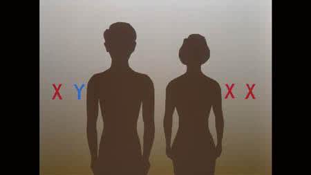 最准的生男生女方法 生男生女的奥妙