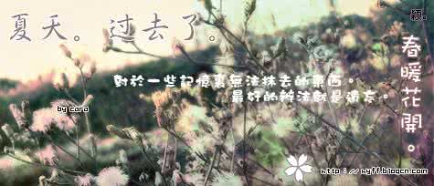 思念如风 深秋，思念如风