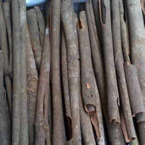 肉桂 桂皮 可以代替吗 肉桂与桂皮的区别