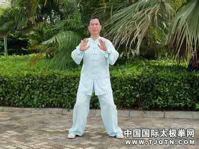 杨式太极拳起势精解 杨式太极拳架“起势”与“收势”的差别
