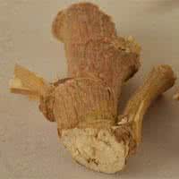 急性肠胃炎 益生菌 肝炎性肠胃炎 生于山坡上的一种野味，竟然能治疗肠炎和肝炎