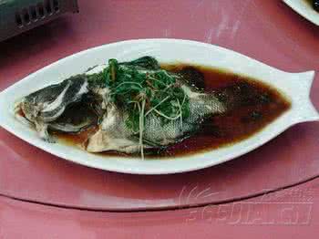 包公鱼 包公鱼 如何挑选包公鱼