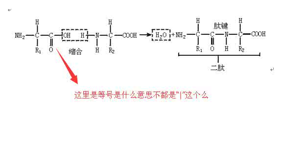 缩合和缩聚 缩合