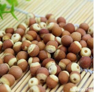 芡实的作用与功效 芡实的功效 正确了解芡实的功效