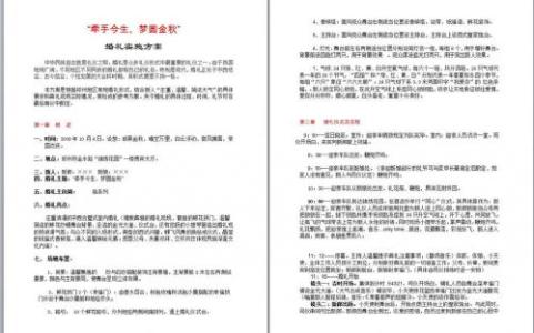 软件项目实施方案范文 工作方案范文 软件项目实施方案范文