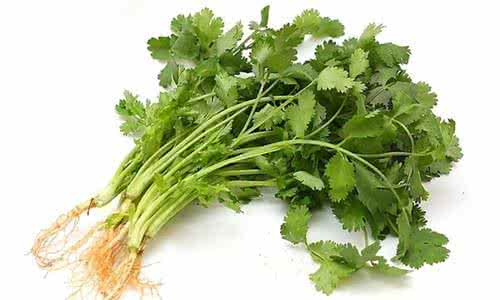 香菜煮水洗脸去斑吗 香菜水洗脸的作用