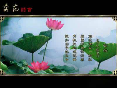 广场舞梦中的蝴蝶 荷花诗会——梦中的蝴蝶