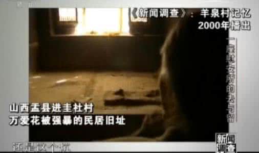 古怪食物 上海 全上海最古怪的家｜一条年度最热视频