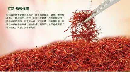 红花的功效与作用 红花的功效与作用 红花的功效与作用简介