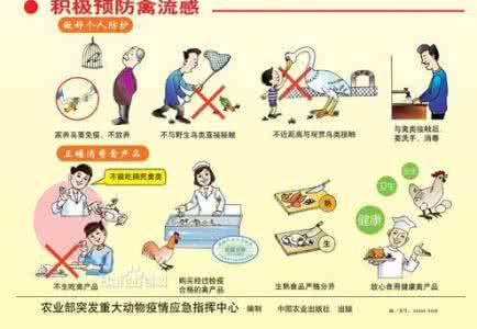 h7n9禽流感症状及预防 h7n9症状表现 做好这些预防h7n9
