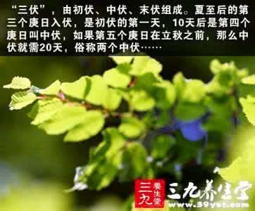 2017年三九天和三伏天 三九天，三伏天是怎样划定的