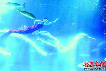 难忘的故事作文400字 海底故事作文1200字