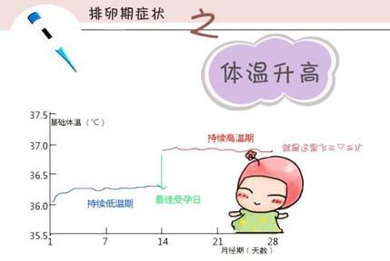 排卵期出血什么症状 排卵期出血什么症状 排卵期出血有症状吗