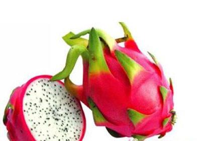 秋季特色菜 秋天的“果肉”菜肴