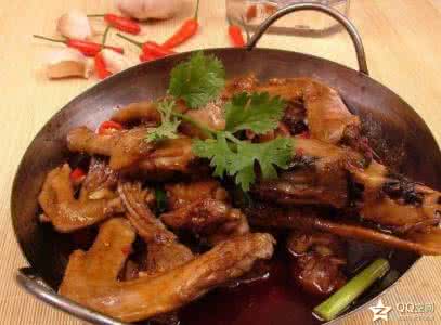 鸭肉的做法大全 90道 鸭肉的做法大全